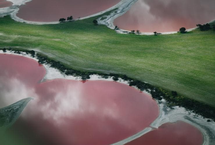 西オーストラリア州、ゴールデン・アウトバックの緑の草原で白い湖畔に縁取られたピンクや虹色に輝く湖群の空撮 © Golden Outback