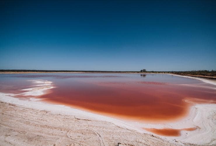 ビクトリア州、ミルデューラ、白い土手からピンク色の湖水を湛えたマレー・リバー・ソルト・レイクを見下ろす © Roberto Seba