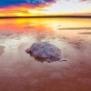 ビクトリア州、マレー・サンセット国立公園にあるピンク色の湖に反射するブルーとゴールドの輝きを放つ夕陽 © Murray Regional Tourism Board