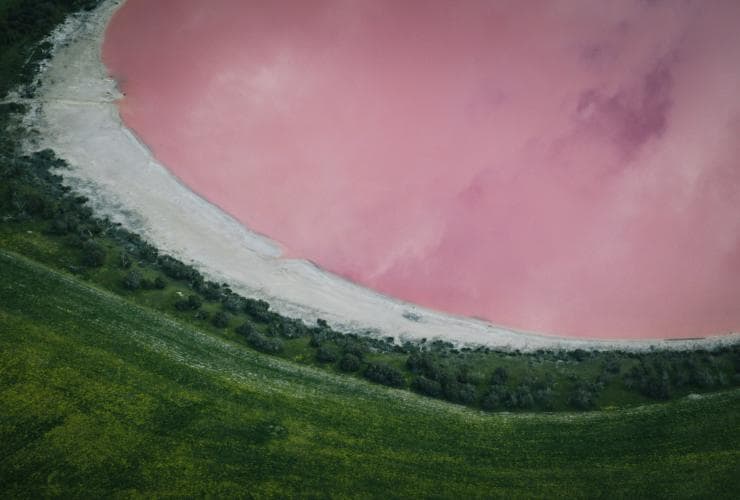 레인보우 호수에서 무성한 녹색의 수풀에 둘러싸인 핑크빛 호수를 공중에서 내려다본 모습, 골든 아웃백, 서호주 © 골든 아웃백