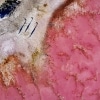 에어 페닌슐라의 핑크빛 맥도넬 호수와 그린 호수 사이로 난 비포장 도로 위를 달리고 있는 밴의 모습, 남호주 © 잭슨 폴리(Jaxon Foale)