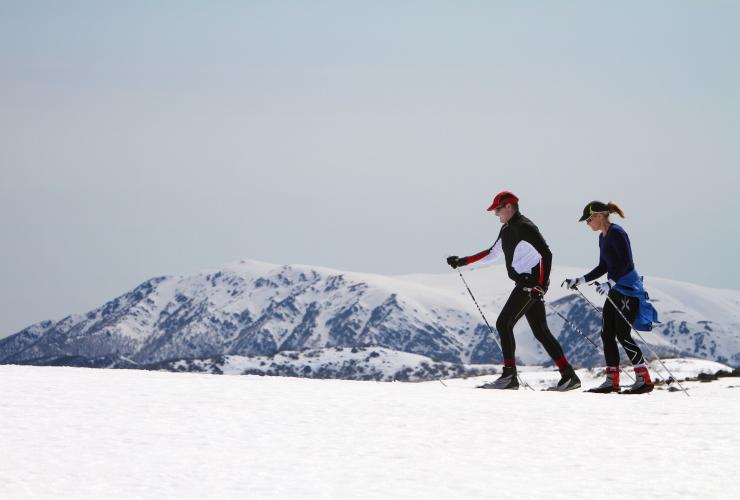 스키 타기, 폴즈 크릭, 빅토리아 © 폴즈 크릭 알파인 리조트
