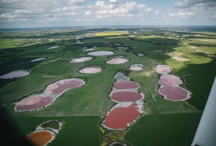 從觀光飛機空中俯瞰西澳州黃金內陸散佈在草地上的多個粉紅湖和彩虹湖©黃金內陸