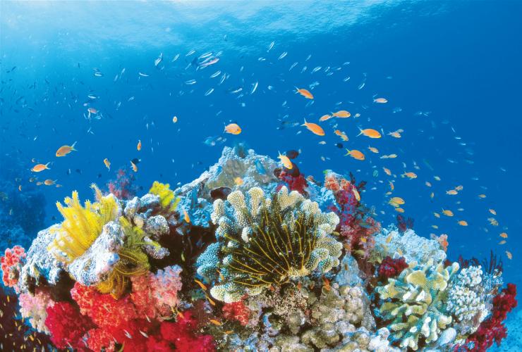 昆士蘭州（Queensland）大堡礁聖靈群島對開©昆士蘭旅遊及活動推廣局