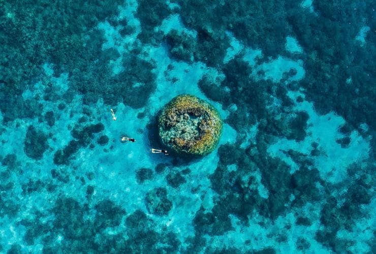 幾個人在昆士蘭州威爾遜島（Wilson Island）的珊瑚礁上浮潛©昆士蘭旅遊及活動推廣局