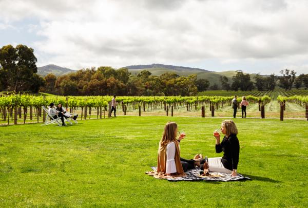Jacob's Creek, Barossa Valley, Südaustralien © Tourism Australia