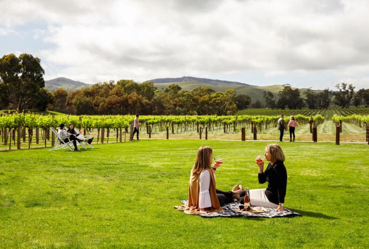 Jacob's Creek, Barossa Valley, Südaustralien © Tourism Australia