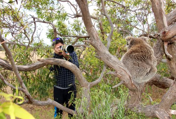 Australian Coastal Safaris, Port Lincoln, Eyre Peninsula, Südaustralien © Australian Coastal Safaris