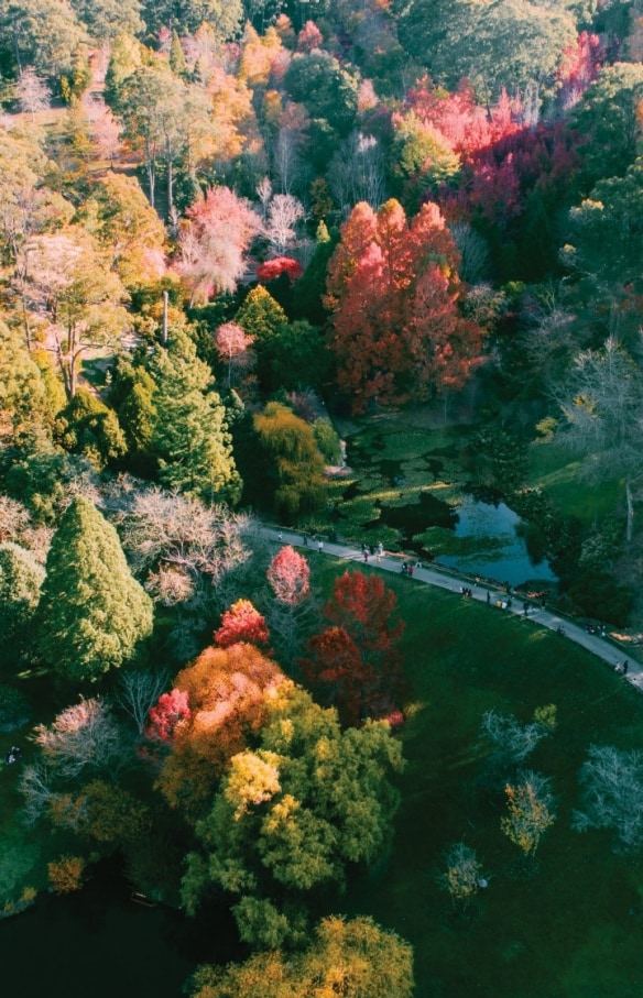 Mount Lofty Botanic Garden, Adelaide Hills, Südaustralien © Sam Williams 