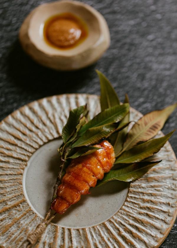 Luftaufnahme eines sorgfältig arrangierten Gerichts mit glasierten orangefarbenen Meeresfrüchten auf einem Bett aus grünen Blättern, Restaurant Botanic, Adelaide, Südaustralien © Jonathan van der Knaap