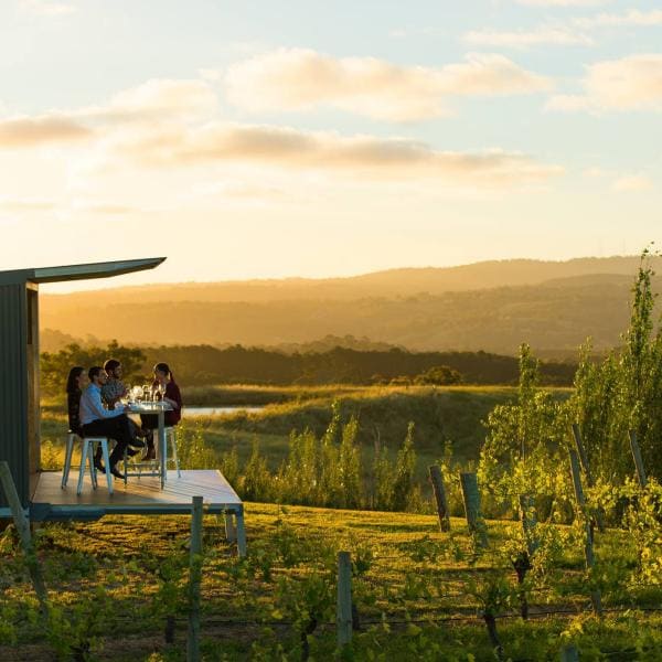 360°-Panorama-Erlebnis, The Lane Vineyard, Adelaide Hills, Südaustralien © Adam Bruzzone