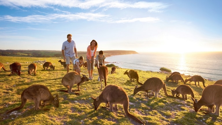 Reisefuhrer Fur Kangaroo Island Tourism Australia