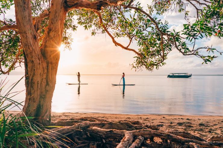 Paddleboarding, Noosa, Queensland © Tourism and Events Queensland