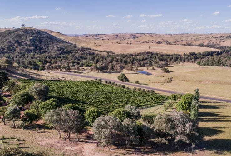 Luftaufnahme von Collector Wines, Collector, New South Wales © Sammy Hawker, Collector Wines
