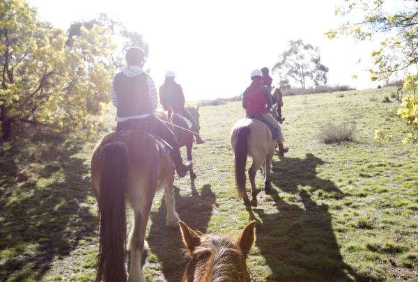 Burnelee Excursions, Canberra, Australian Capital Territory © VisitCanberra