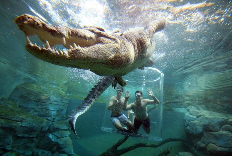 Begegnungen mit Krokodilen im Crocosaurus Cove, Darwin, Northern Territory © Tourism NT/Shaana McNaught