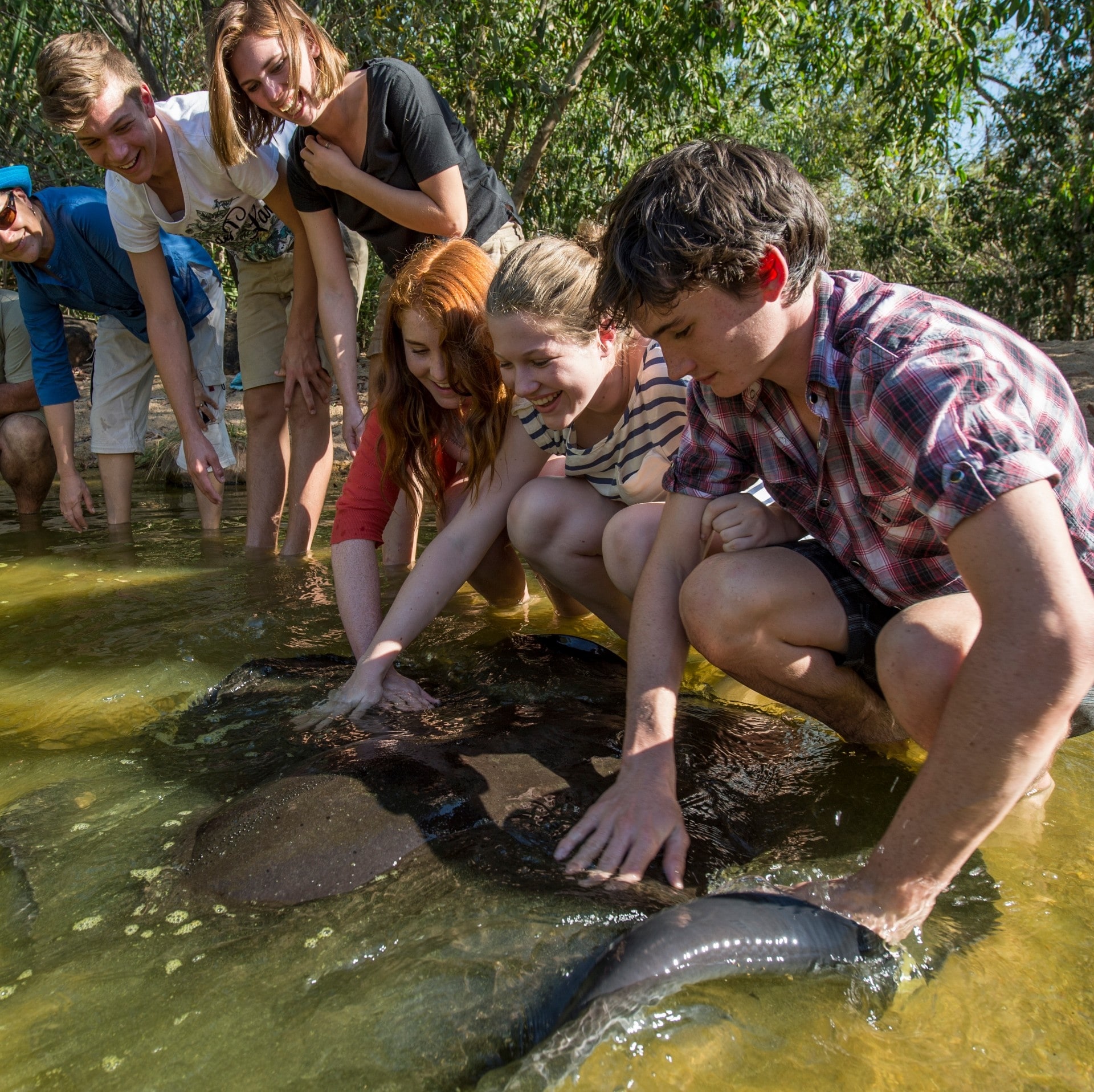 Besucher bei einer Begegnung mit einem Süßwasser-Peitschenrochen im Territory Wildlife Park © Tourism Australia