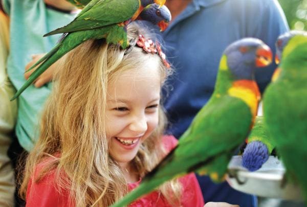 Currumbin Wildlife Sanctuary, Gold Coast, Queensland © Tourismus und Events Queensland