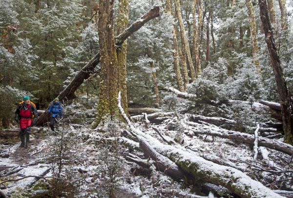 Tasmanian Expeditions, Overland Track, Cradle Mountain-Lake St Clair National Park, Tasmanien © Andrew Bain