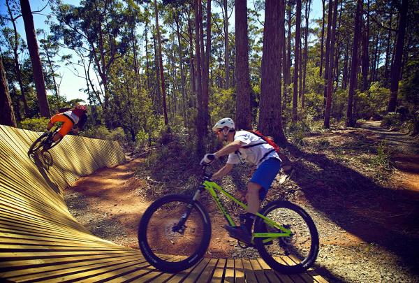 Hollybank Mountain Bike Park, Underwood, Tasmanien © Tourism Tasmania, Bereitstellung mit freundlicher Genehmigung von Flow Mountain Bike