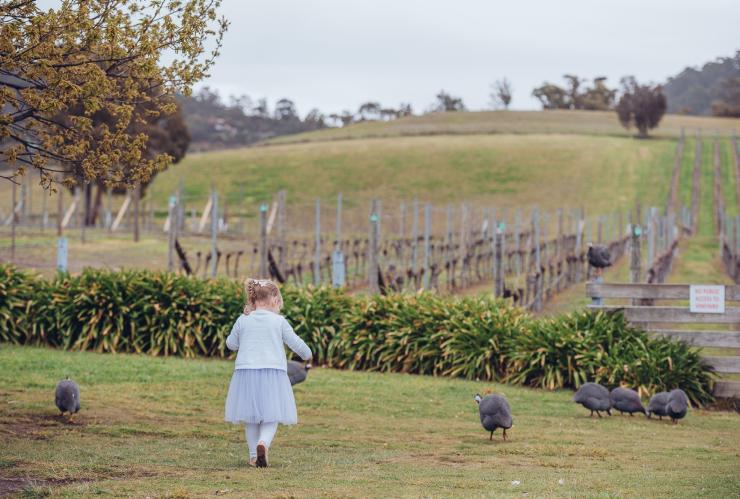 Mädchen auf dem Puddleduck Vineyard in Richmond, Tasmanien © Sarah Ryan Photography