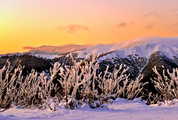 Falls Creek, Victoria © Chris Hocking