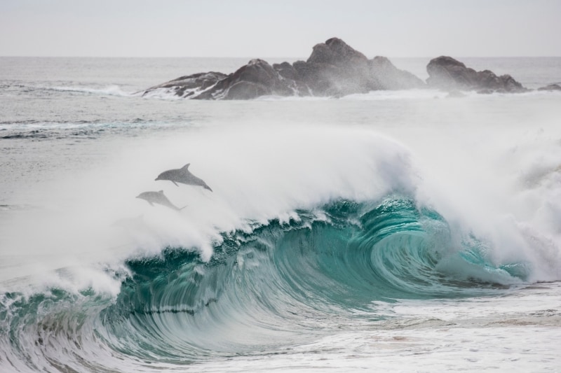 Cape Naturaliste nahe Dunsborough, Westaustralien © Tourism Western Australia