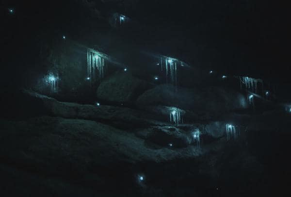 Blue Mountains Glow Worm Tours, Glow Worm Canyon, Blue Mountains, New South Wales © Destination NSW