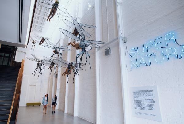 SUPERNATURAL-Kunstausstellung in der White Rabbit Gallery, Chippendale, Sydney, New South Wales © Destination NSW