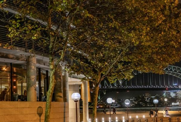 Aria Restaurant, Sydney, New South Wales © Destination NSW