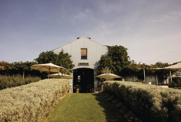 Lowe Wines, Mudgee, New South Wales © Destination NSW