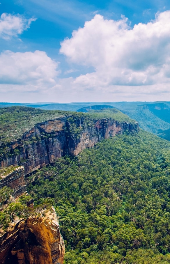 Blue Mountains, New South Wales ©Tourism Australia