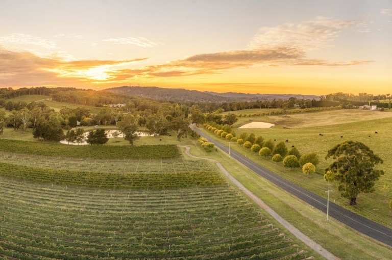 Centennial Vineyards, Bowral, Southern Highlands, New South Wales © Destination NSW