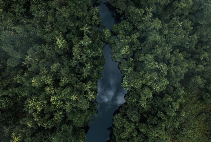 Luftaufnahme des Daintree Rainforest, Queensland © Melissa Findley/Tourism Australia