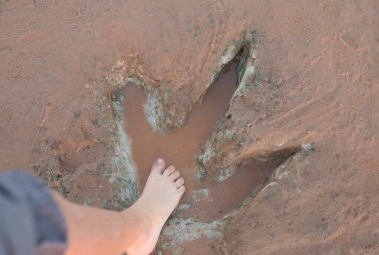 Dinosaurier-Fußabdrücke, Broome/Rubibi, Westaustralien © Australia's North West Tourism