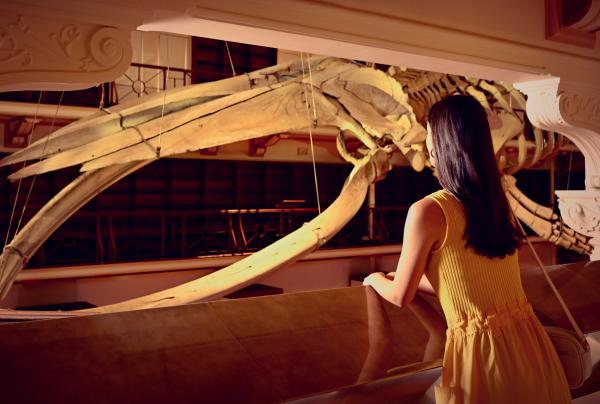 WA Museum Boola Bardip, Perth, Westaustralien © Tourism Western Australia