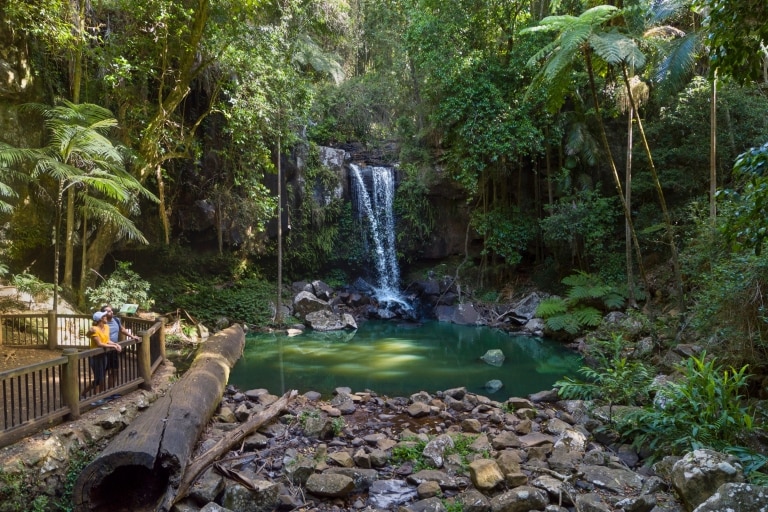 Ein Paar blickt auf den Wasserfall Curtis Falls im Tamborine National Park © Destination Gold Coast