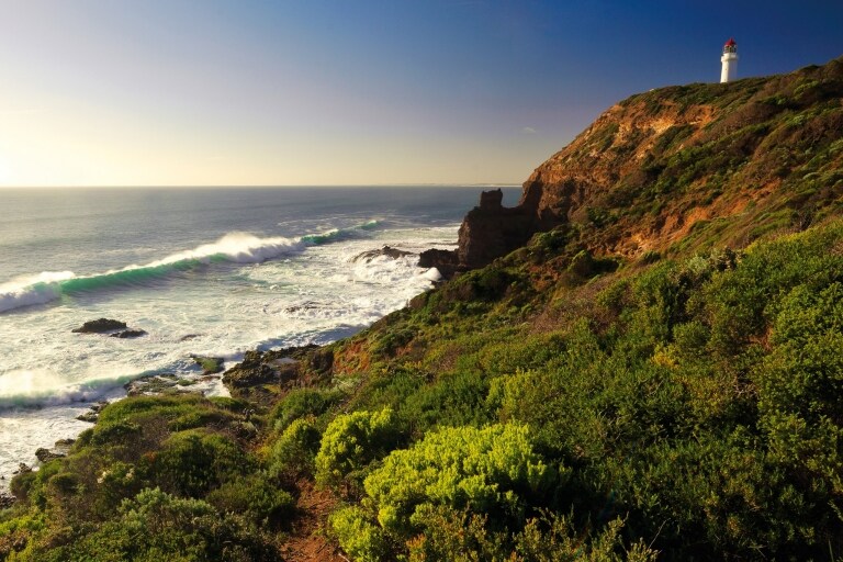 Cape Schanck Boardwalk, Mornington Peninsula, Victoria © Mornington Peninsula Regional Tourism