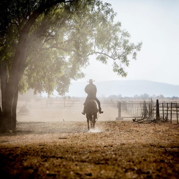 Ein Jackaroo in den Viehhöfen der Bullo River Station in East Kimberley © Martine Perret