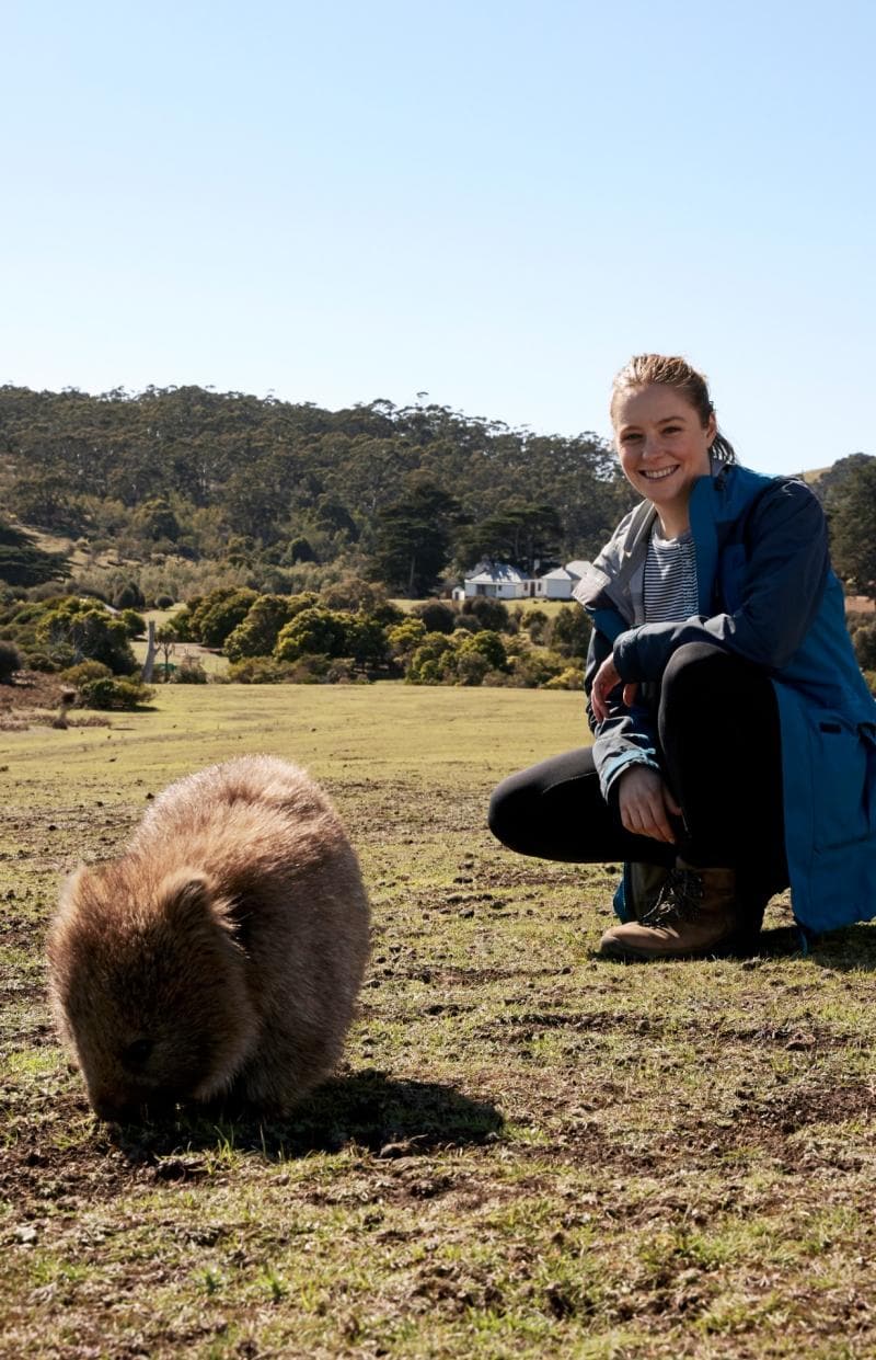 Maria Island ist ein wahres Tierparadies © Daniel Tran