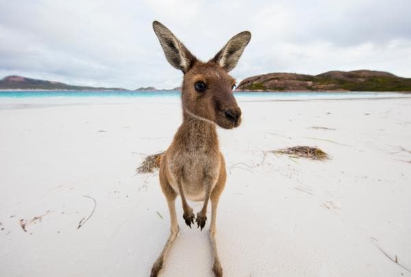 Lucky Bay, Cape le Grand National Park, WA © Sean Scott Photography