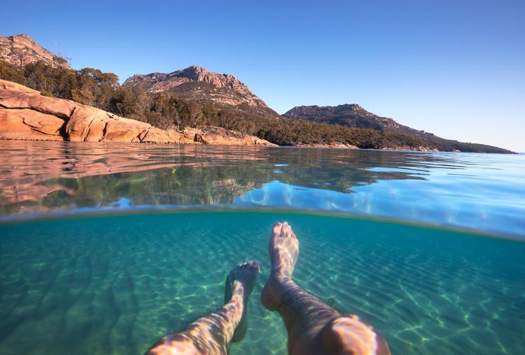 Mann schwimmt im Wasser, Tasmanien © Tourism Australia