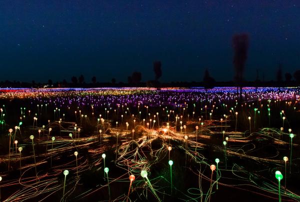 Uluru Field of Light, NT © Tourism Australia