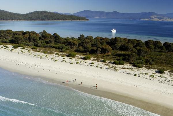 Auf dem Maria Island Walk führt Georgia dich auch entlang der eindrucksvollen Küste der Insel © Maria Island Walk 