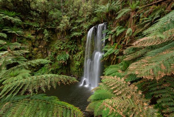 Am Rande des Great Otway Nationalpark leitet Lizzie Corke das Conservation Ecology Centre © Visit Victoria