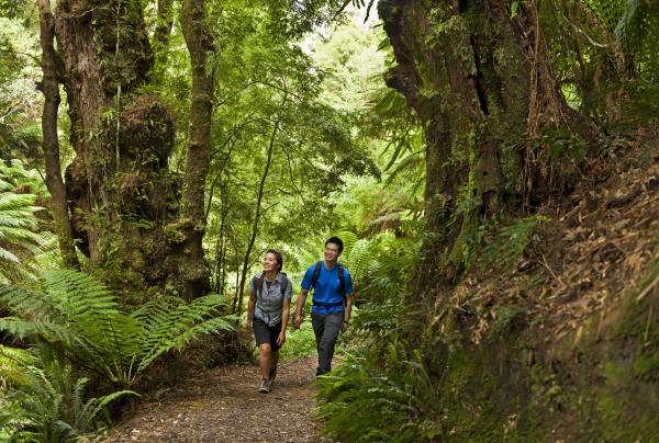 Das perfekte Ziel für eine Wanderung © Visit Victoria / Mark Watson