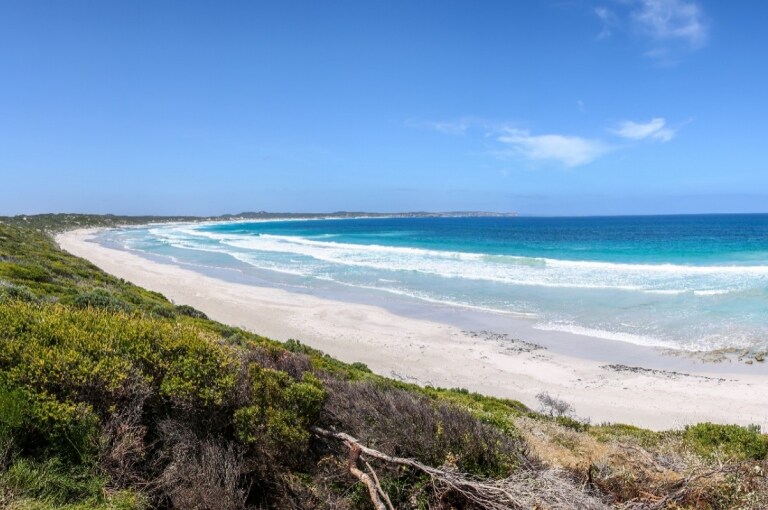 Auf Kangaroo Island erwartet dich blaues Wasser und lange Sandstände © Tourism Australia 