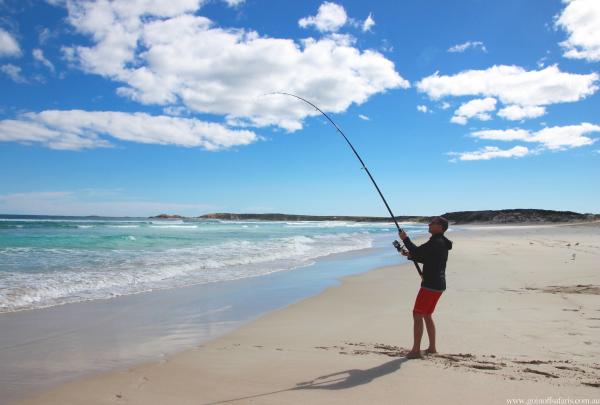 Frischen Fisch direkt vom Strand der Eyre Peninsula in Südaustralien © Australian Coastal Safaris
