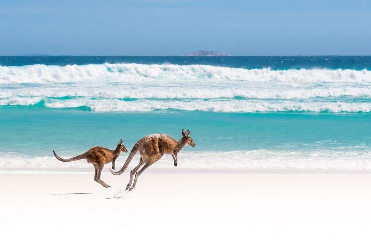 Lucky Bay, Cape Le Grand National Park, Westaustralien © Tourism Australia