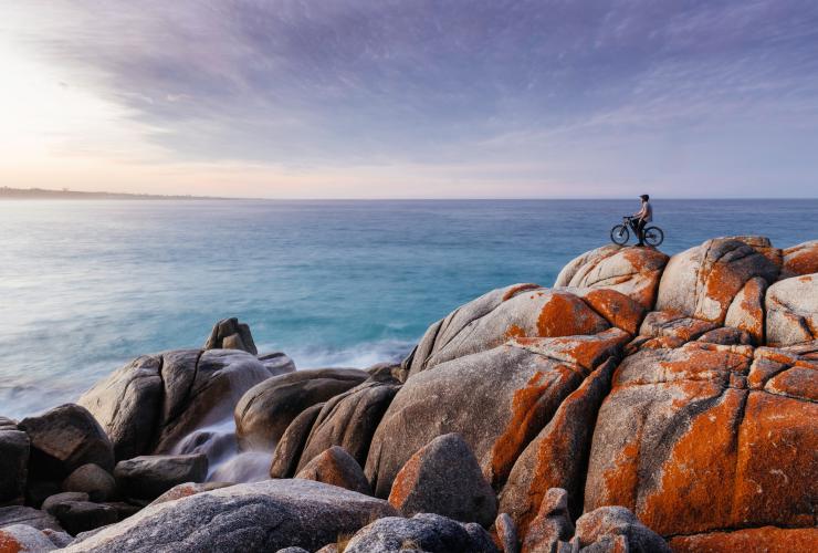 Bay of Fires, Binalong Bay, Tasmanien © Stu Gibson